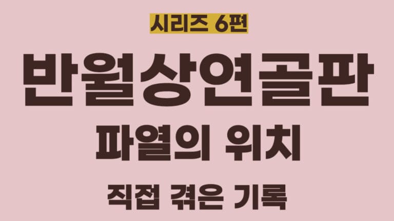 반월상연골판시리즈6편의 썸네일이미지입니다. 반월상연골판 파열의 위치를 설명할 글입니다.