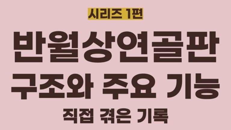 반월상연골판시리즈1편의 썸네일이미지입니다. 구조와 주요기능에 대해 정리한 글입니다.
