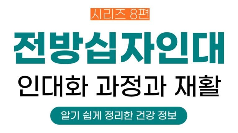 전방십자인대시리즈 8편의 썸네일이미지입니다. 전방십자인대 이식건의 인대화 과정과 재활 로드맵에 대해 정리한 글입니다.